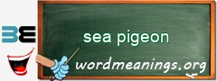 WordMeaning blackboard for sea pigeon